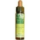 Eiken Plantis Nr. 22 10 ml Eiken Plantis Nr. 22 10 ml