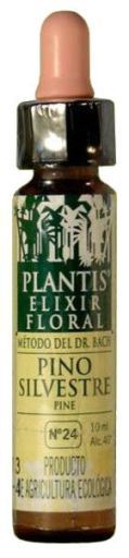 Pijnboom Plantis N&ordm; 24 10 ml