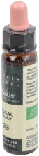 Walnoot Plantis nr. 33 10 ml