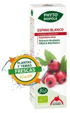Phytobiopole witte meidoorn