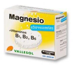 Vallesol Magnesium+B Bruisend 24Comp