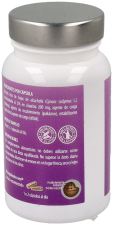 Artisjok 45 Capsules