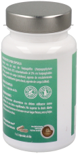 Harpagophyte microgranulaat 45 capsules