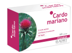 Mariadistel 60 tabletten in blister