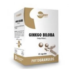 Ergonat Ginkgo Biloba 45 capsules