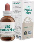 Populus Nigra zwarte populier 50 ml