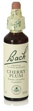 Original Flower Essences Bach 6 Kerspruim 20 ml