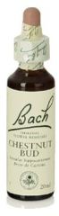 Bach 7 Kastanje Knop 20 ml