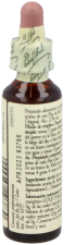 Bach 7 Kastanje Knop 20 ml