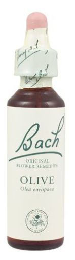 Original Flower Essences Bash 12 Gentiaan 20 ml