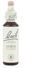 Bach 13 Gaspeldoorn 20 ml
