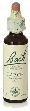Original Flower Essences Bach 19 Lariks 20 ml
