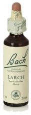 Bach 19 Lariks 20 ml Bach 19 Lariks 20 ml