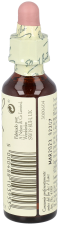 Bach 19 Lariks 20 ml Bach 19 Lariks 20 ml