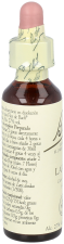 Bach 19 Lariks 20 ml Bach 19 Lariks 20 ml