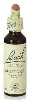 Original Flower Essences Bach 21 Mosterd 20 ml