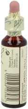 Bach 22 Eiken 20 ml