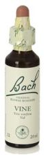 Bach 32 Wijnstok 20 ml