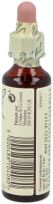 Bach 32 Wijnstok 20 ml