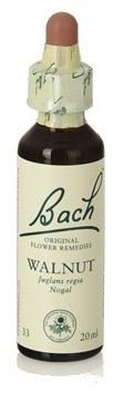 Original Flower Essences Bach 33 Walnoot 20 ml