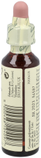 Bach 33 Walnoot 20 ml