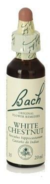 Original Flower Essences Bach 35 Witte Kastanje 20 ml