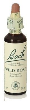 Original Flower Essences Bach 20 Wilde Roos 20 ml