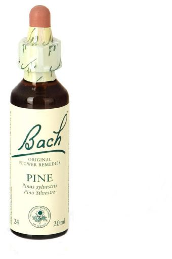 Original Flower Essences Bach 24 Pijnboom 20 ml