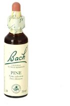 Bach 24 Pijnboom 20 ml