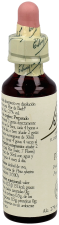 Bach 24 Pijnboom 20 ml