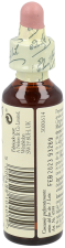 Bach 29 Ster van Bethlehem 20 ml