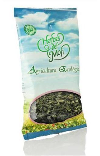 Herbes del Mol&iacute; Tand van de leeuw Eco-plant