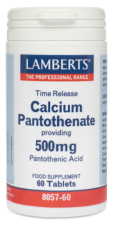 Calcium Pantothenaat 500 mg met Vitamine B5 60 tabletten