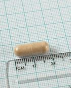 Pycnogenol 40 mg maritiem pijnboomschors extract 60 capsules