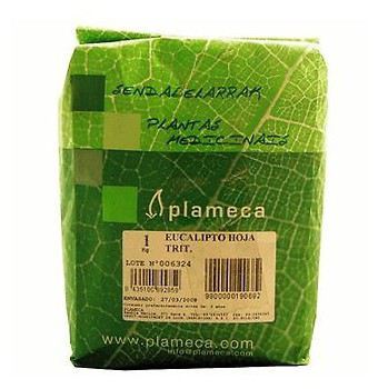 Plameca Tijm Bosjes Heel