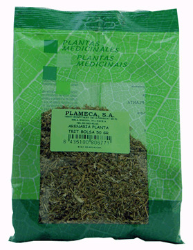 Plameca Arenaria Verpletterd Plant