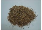 Bernagiebloem 40 Gr