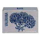 Valeriaan 20 Infusie