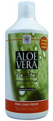 Noefar Alo&euml; Vera Nofar