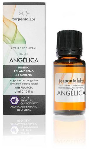 Terpenic Lab Engelwortel Essenti&euml;le Olie 5ml