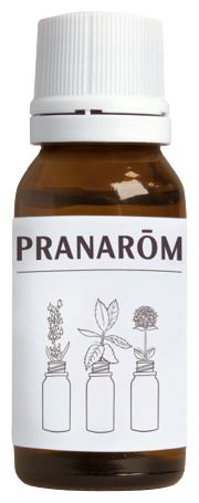 Pranarom Geranium etherische olie uit Egypte