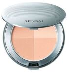 Cellular Performance Compact Poeder 8 gr