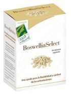Boswellia Select 60 Veggiecapsules