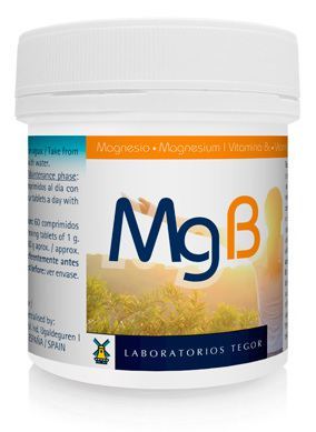Laboratorios Tegor Mgb 60 tabletten