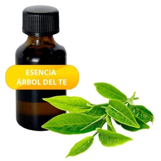 Tea Tree Essenti&euml;le Olie 100 ml