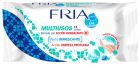 Multifunctionele antibacteriële ontsmettingsdoekjes 12 stuks Multifunctionele antibacteriële ontsmettingsdoekjes 12 stuks