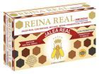 Royal Queen Immunity 20 Ampullen