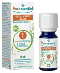 Eucalyptus Radiata etherische olie 10 ml