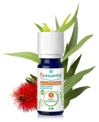 Eucalyptus Radiata etherische olie 10 ml