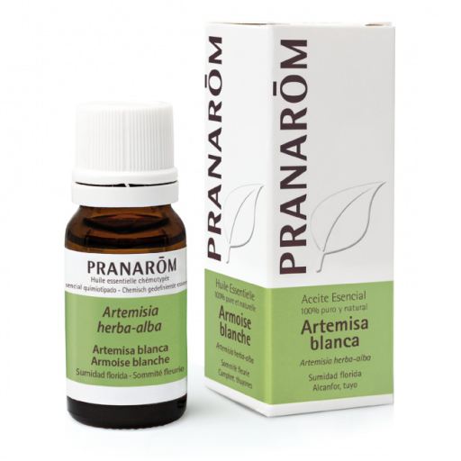 Pranarom Witte Bijvoet Etherische Olie 10 ml